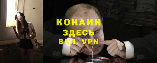 мдпв Дмитриев