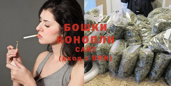 индика Дмитров
