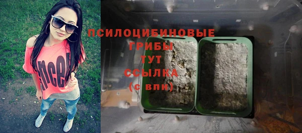 ПСИЛОЦИБИНОВЫЕ ГРИБЫ Армянск