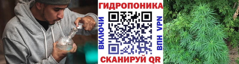 цены наркотик  Темников  МАРИХУАНА гибрид 